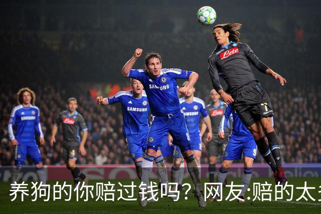 养狗的你赔过钱吗？网友:赔的太多了，它的身价蹭蹭往上涨