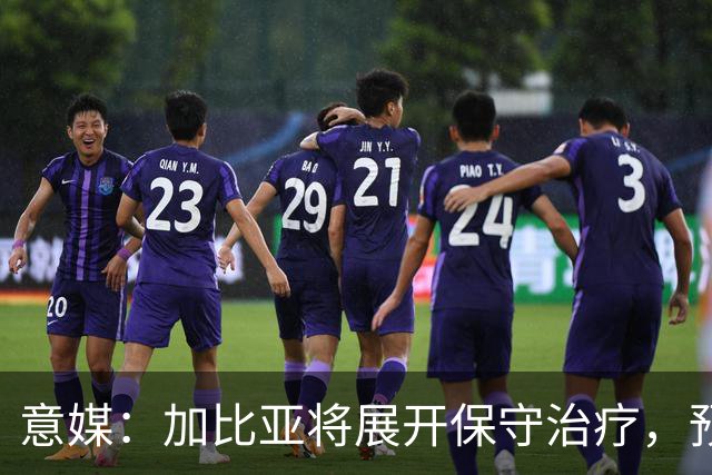 意媒：加比亚将展开保守治疗，预计2027年重返赛场