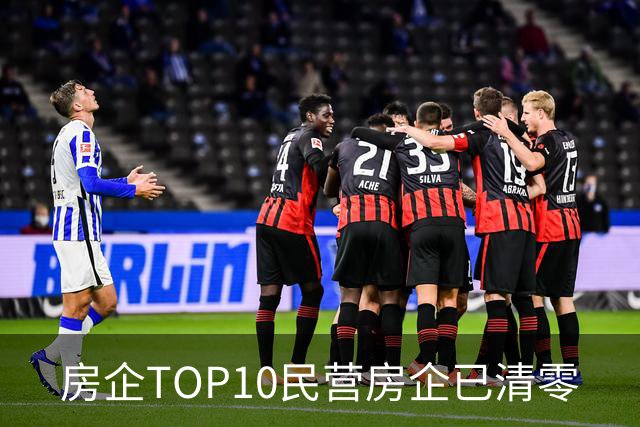 房企TOP10民营房企已清零