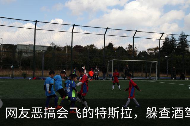 网友恶搞会飞的特斯拉，躲查酒驾、冲收费站、飞河流，安全是关键