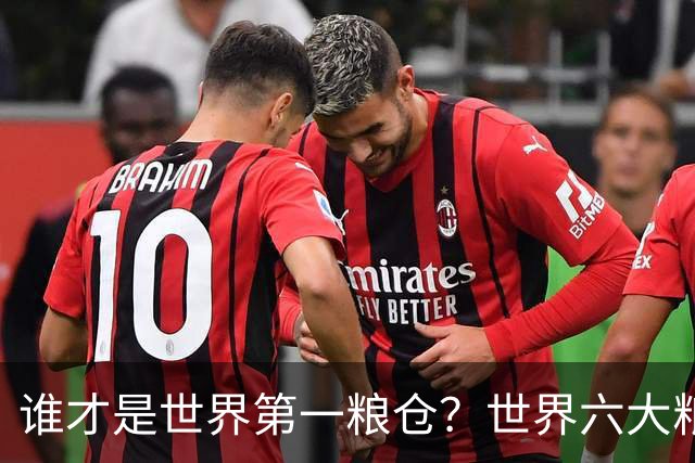 谁才是世界第一粮仓？世界六大粮食生产国，都有谁？