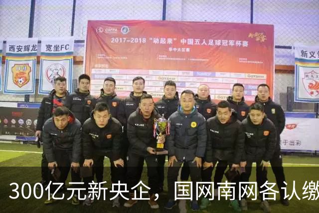 300亿元新央企，国网/南网各认缴37.5亿元