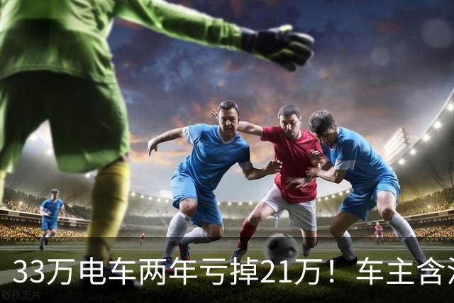 33万电车两年亏掉21万！车主含泪自述：我买的不是车，是电动爹